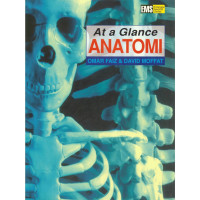 AT A GLANCE SERIES ANATOMI